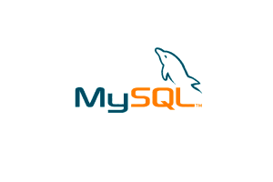 Digital Marketing Agency - MySQL Development