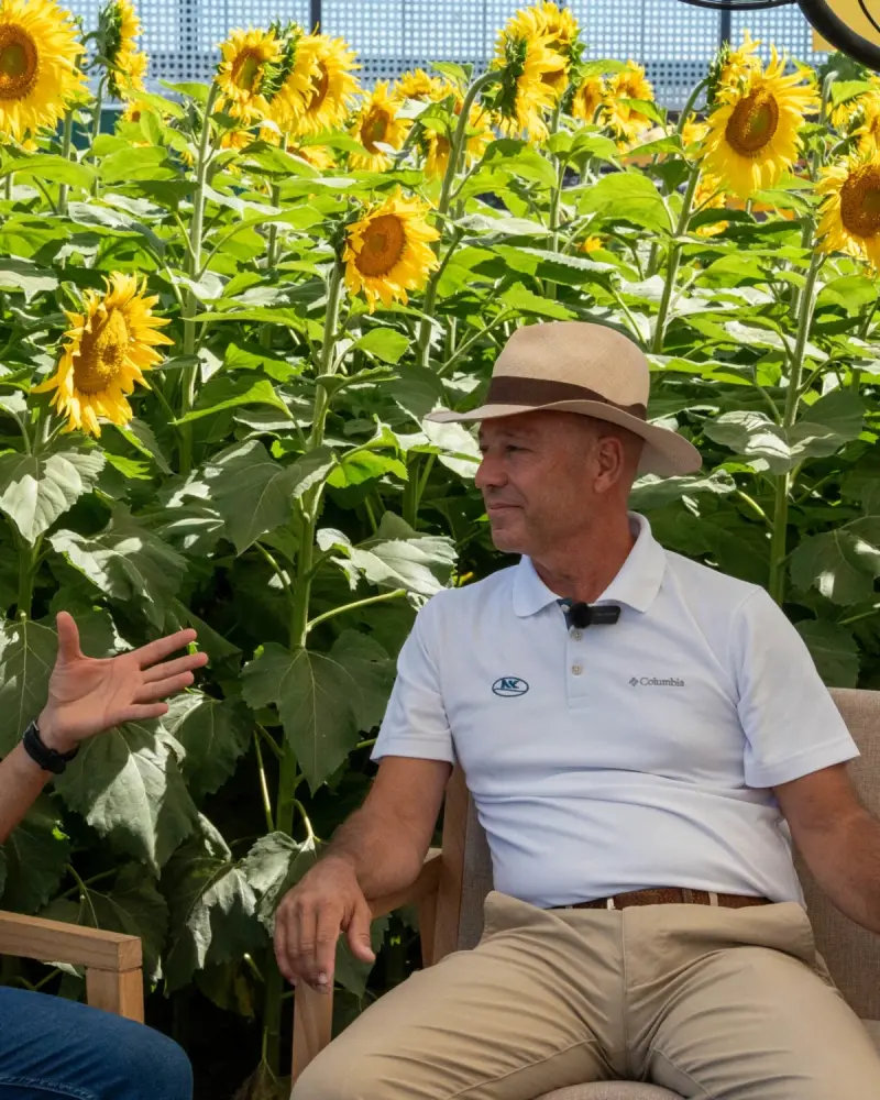 Interview with Paco Pérez Brea of NK Semillas among sunflowers