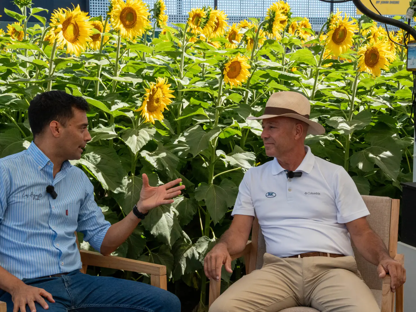 Interview with Paco Pérez Brea of NK Semillas among sunflowers