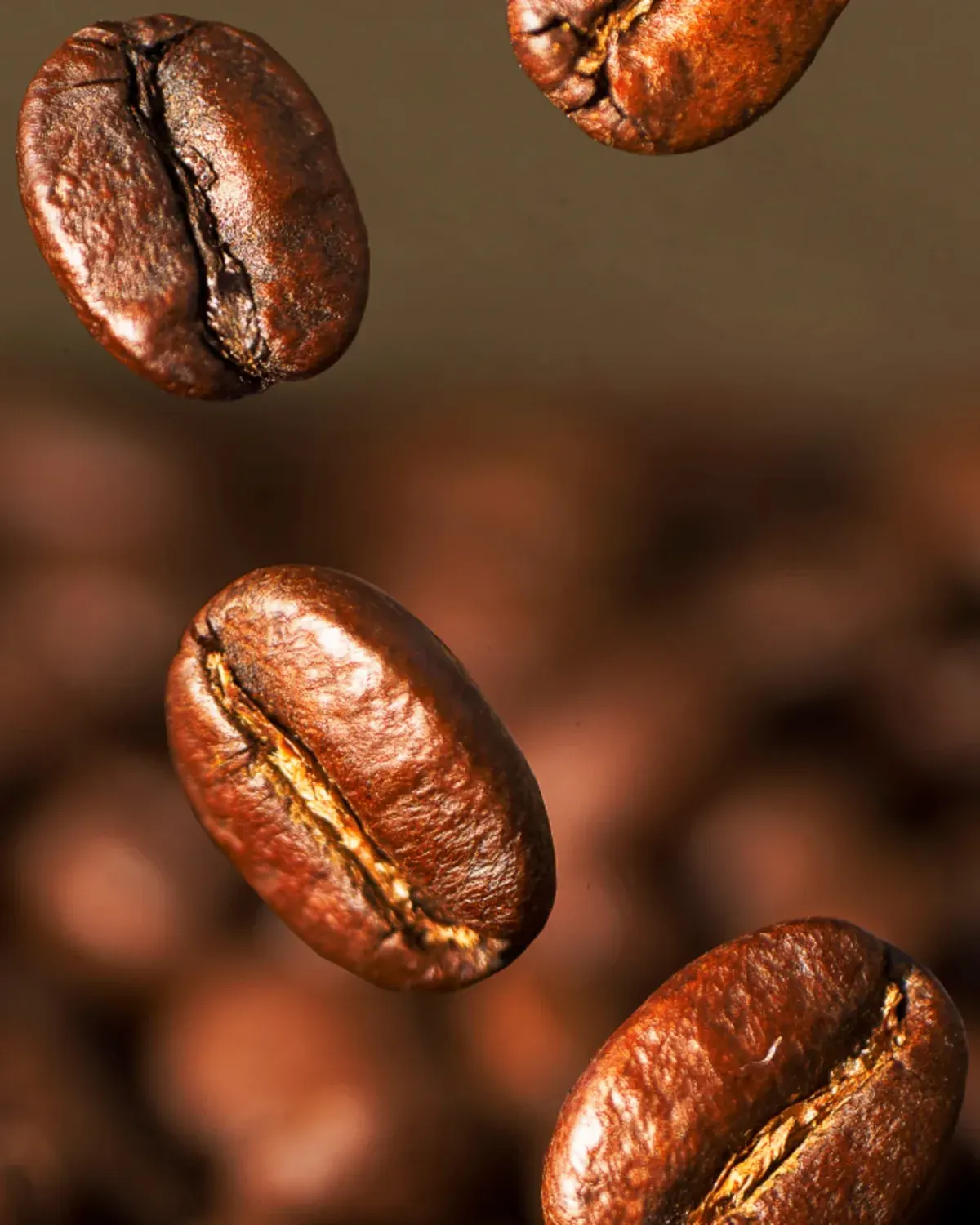 Granos de café en fotografía macro